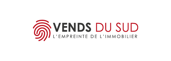 logo vds mini